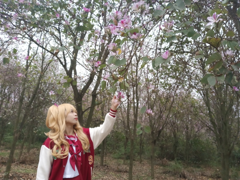 暮秋的第二张照片--广西红颜知己交友网