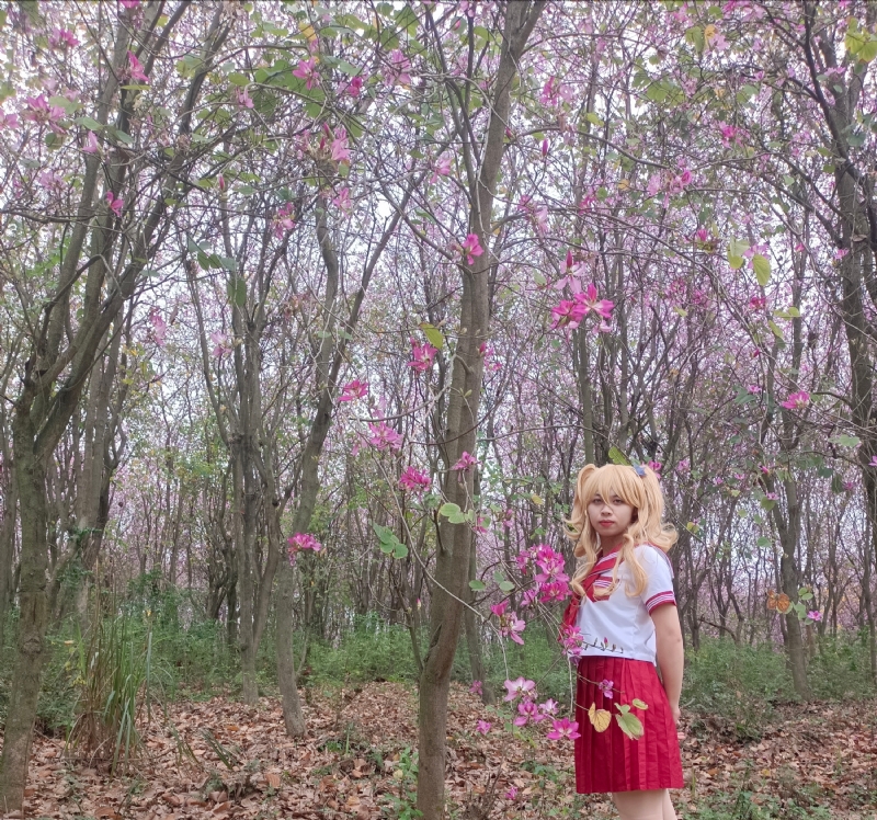 暮秋的第四张照片--广西红颜知己交友网