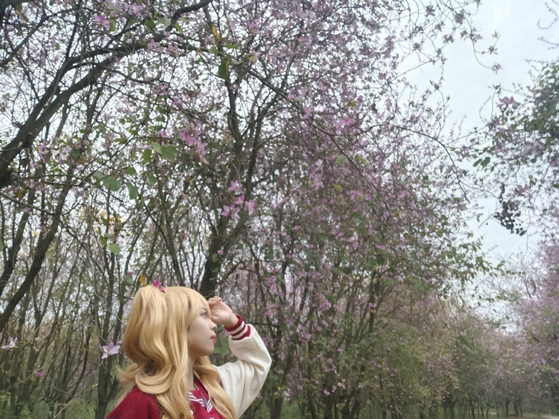 暮秋的第五张照片--广西红颜知己交友网